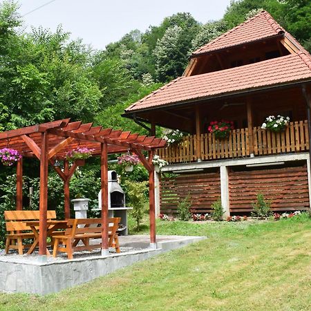 Drinska Tisina Villa Ljubovija Exteriör bild
