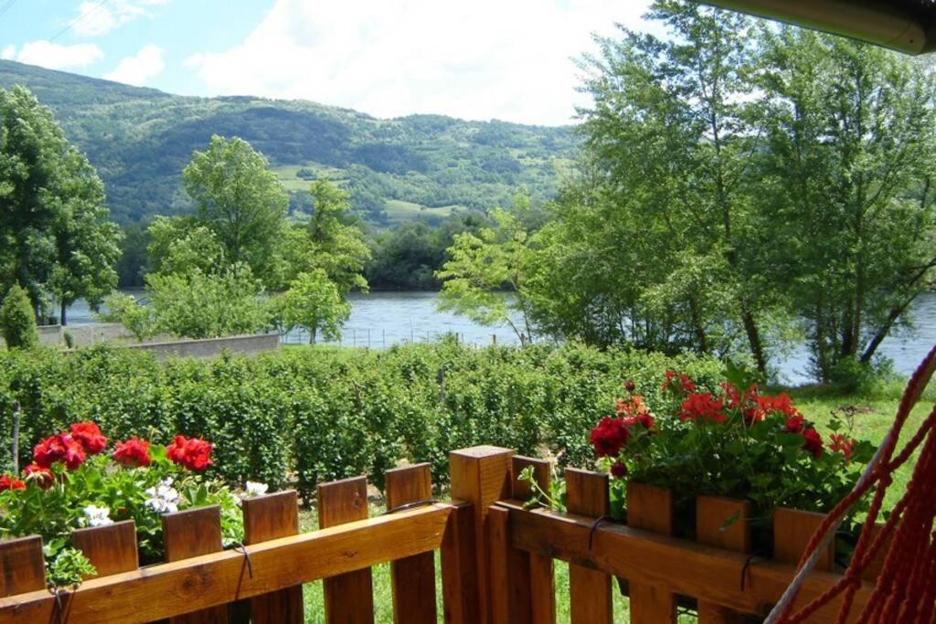 Drinska Tisina Villa Ljubovija Exteriör bild