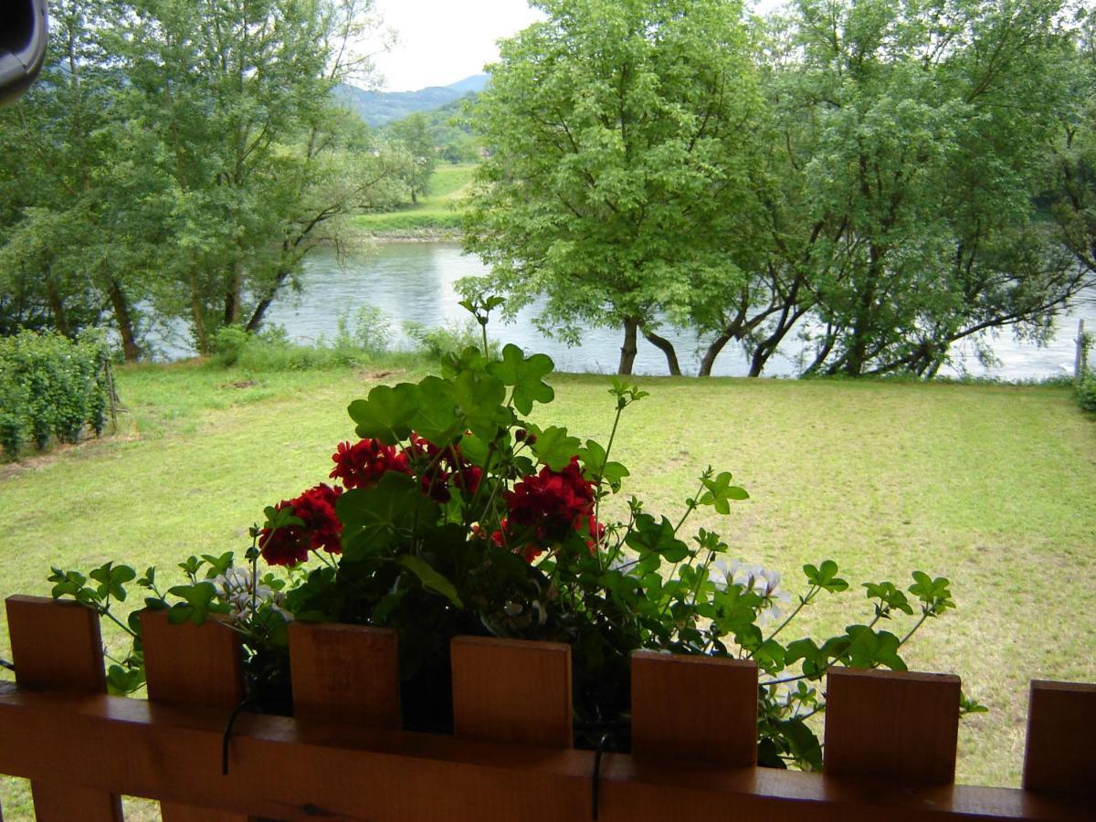 Drinska Tisina Villa Ljubovija Exteriör bild